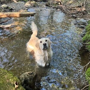 Meet your Posher, Nina